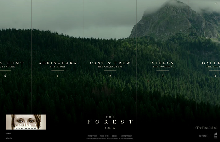 Sony Pictures - The Forest