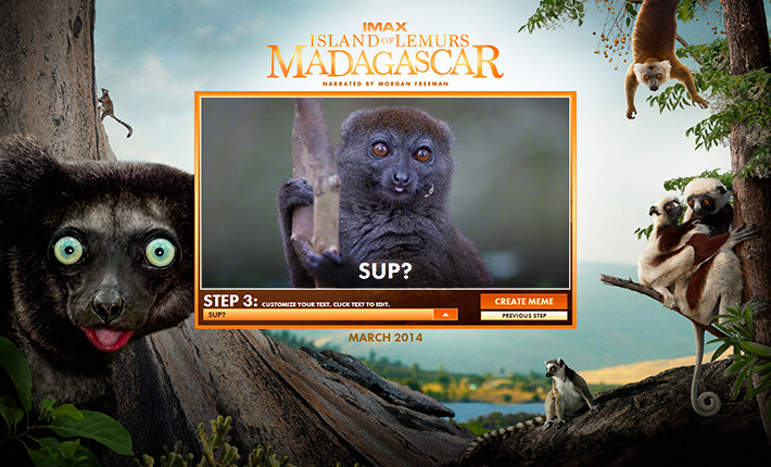 Island of Lemurs: Madagascar Meme Generator