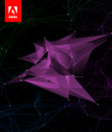Adobe Patent Experience